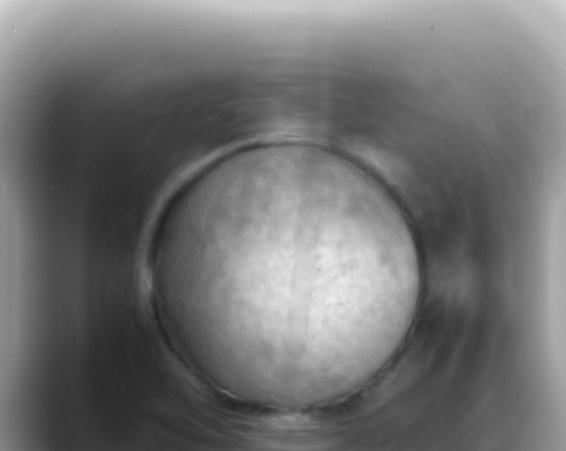 X0000088741462200706071650