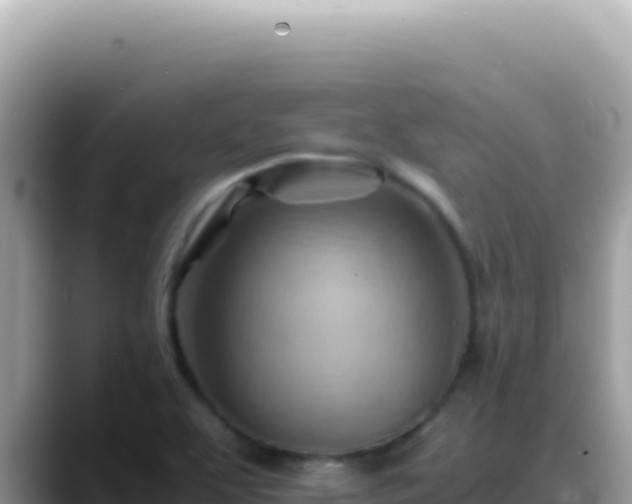X0000088741463200706071650