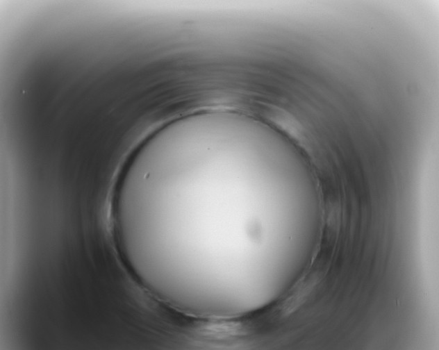 X0000088741466200706071650