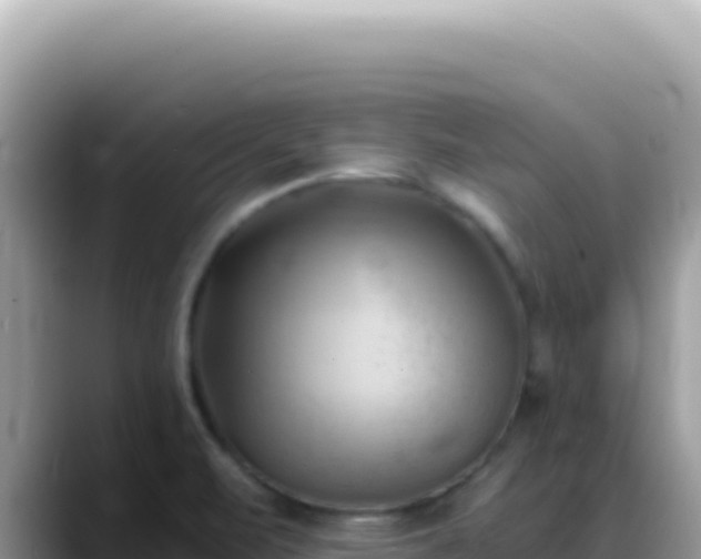 X0000088741471200706071650
