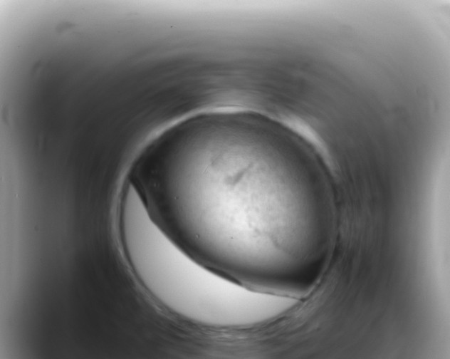 X0000088741472200706071650