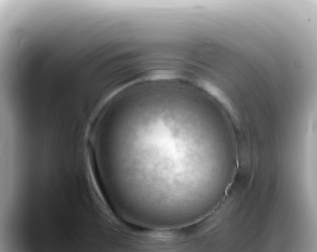 X0000088741473200706071650