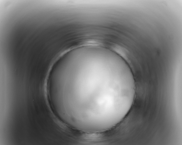 X0000088741474200706071650