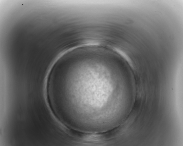 X0000088741475200706071650