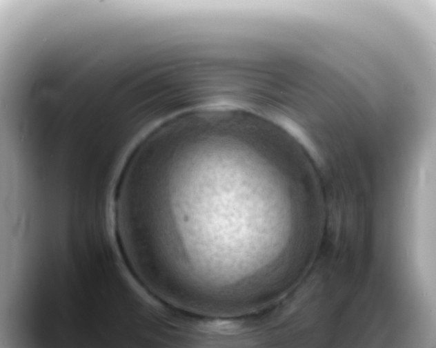 X0000088741476200706071650