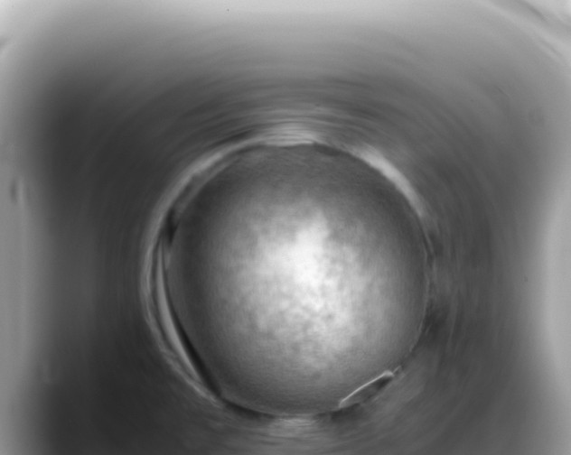 X0000088741477200706071650