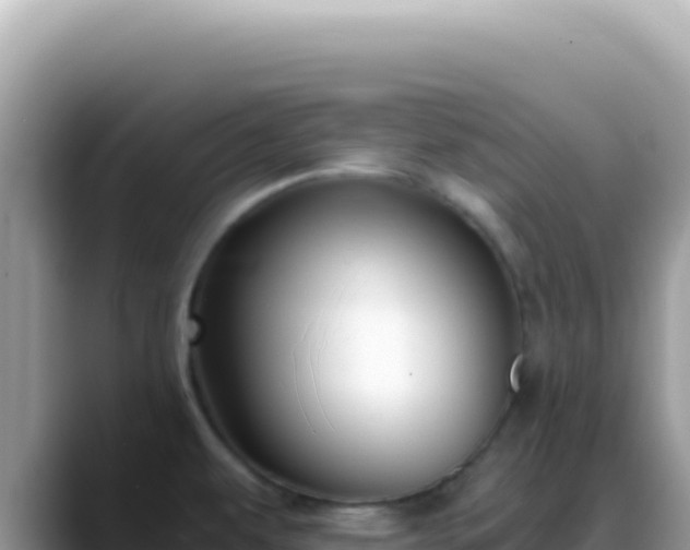 X0000088741479200706071650