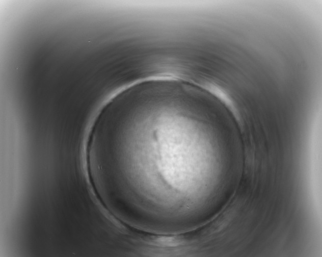 X0000088741480200706071650