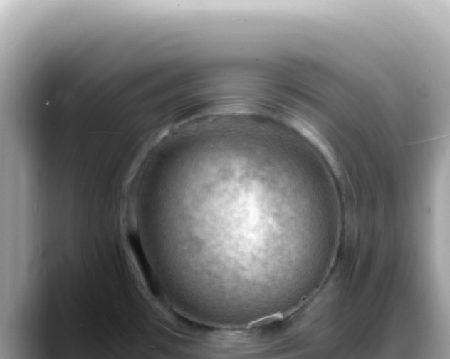 X0000088741481200706071650