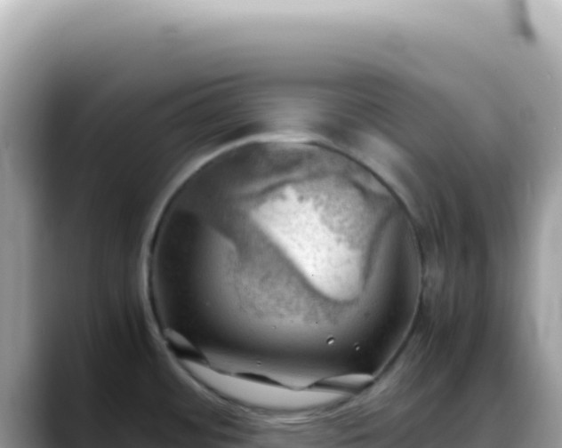 X0000088741484200706071650