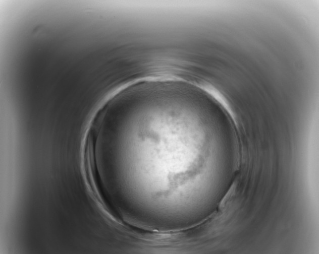 X0000088741485200706071650