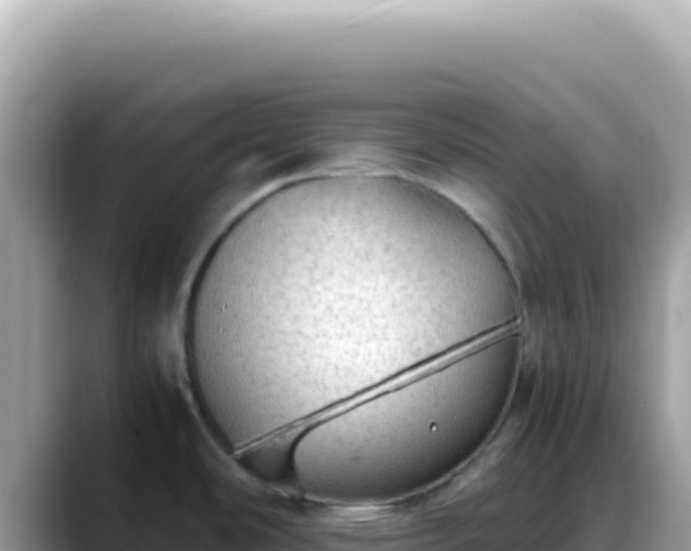 X0000088741486200706071650