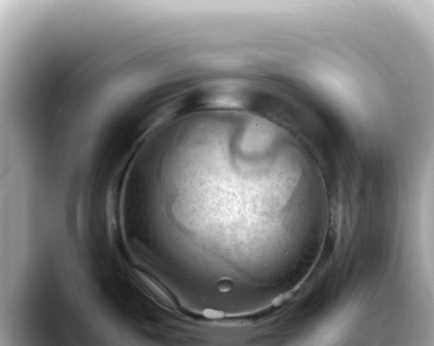 X0000088741487200706071650
