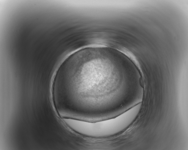 X0000088741488200706071650