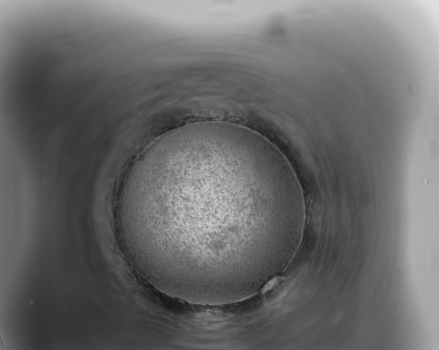 X0000088741489200706071649