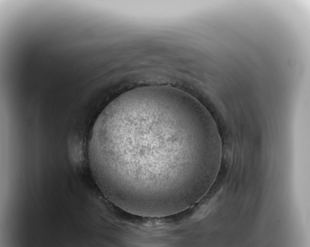 X0000088741490200706071649