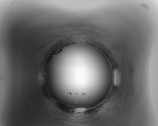 X0000088741491200706071649