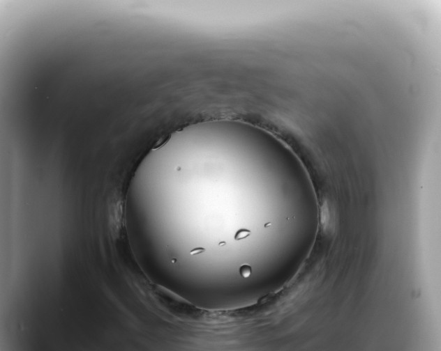 X0000088741492200706071649