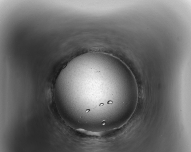 X0000088741493200706071649