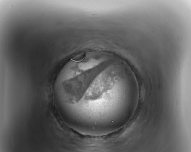 X0000088741494200706071649