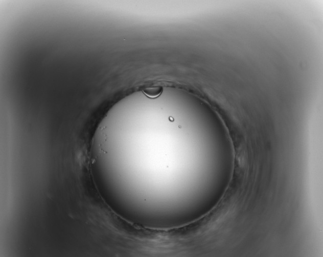 X0000088741495200706071649