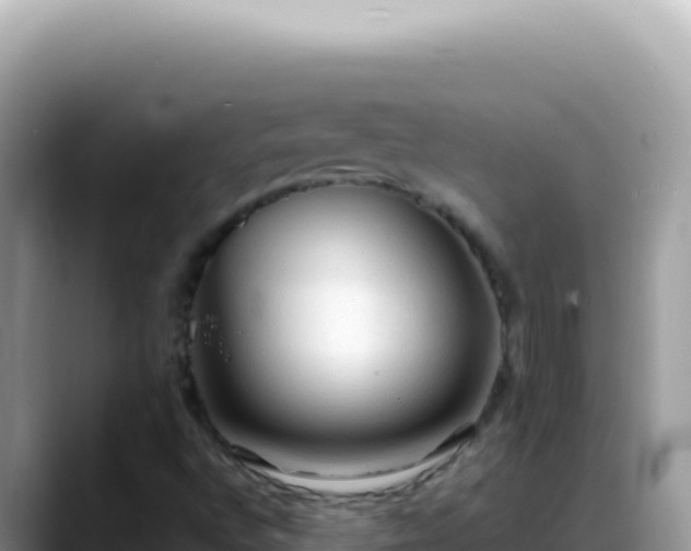 X0000088741496200706071649