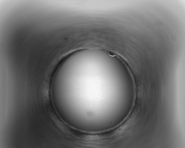 X0000088741499200706071649