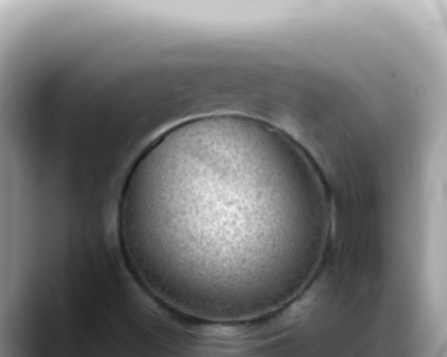 X0000088741500200706071649