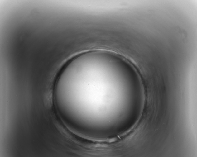 X0000088741503200706071649