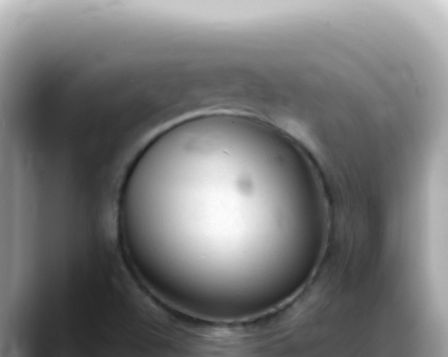 X0000088741504200706071649