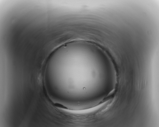 X0000088741505200706071649