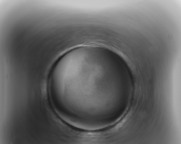 X0000088741506200706071649