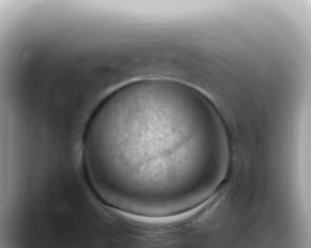 X0000088741507200706071649