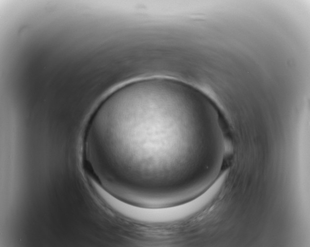 X0000088741508200706071649