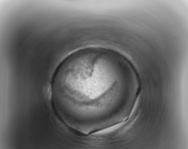 X0000088741509200706071649