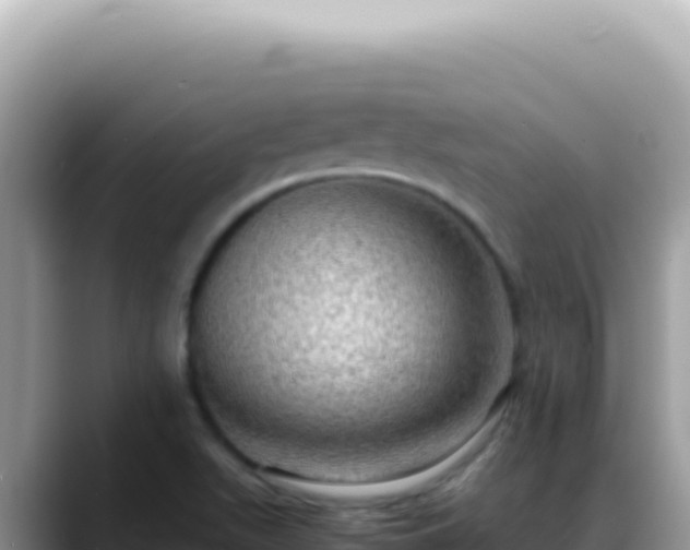 X0000088741511200706071649