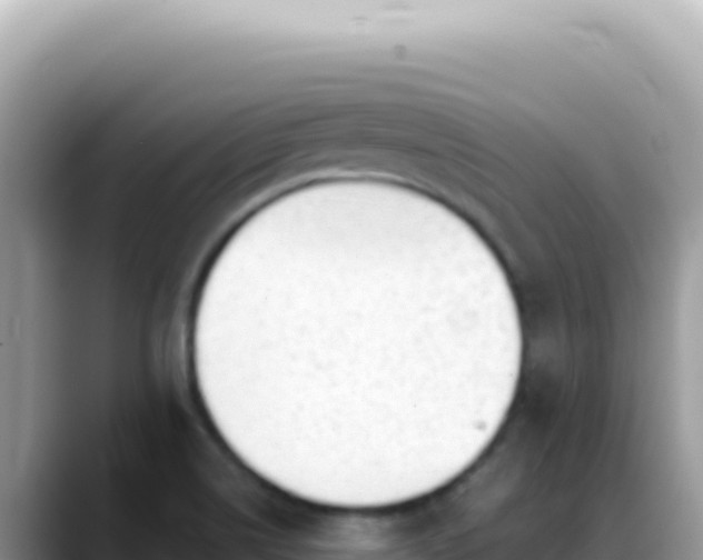 X0000088741514200706071649