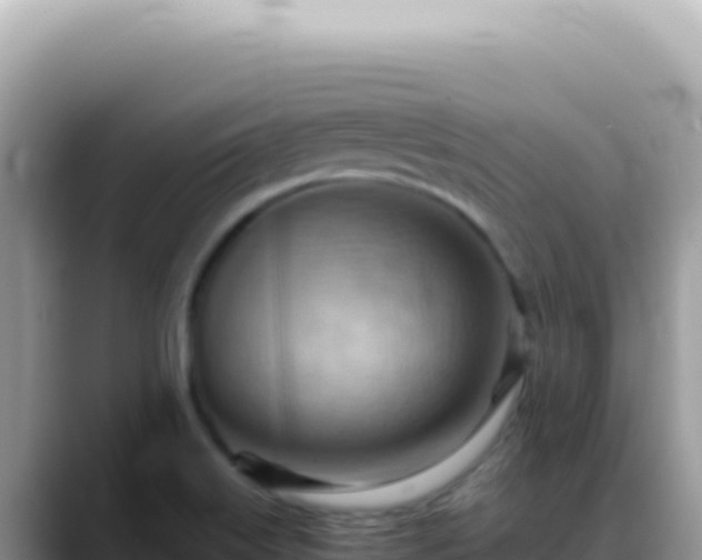 X0000088741515200706071649