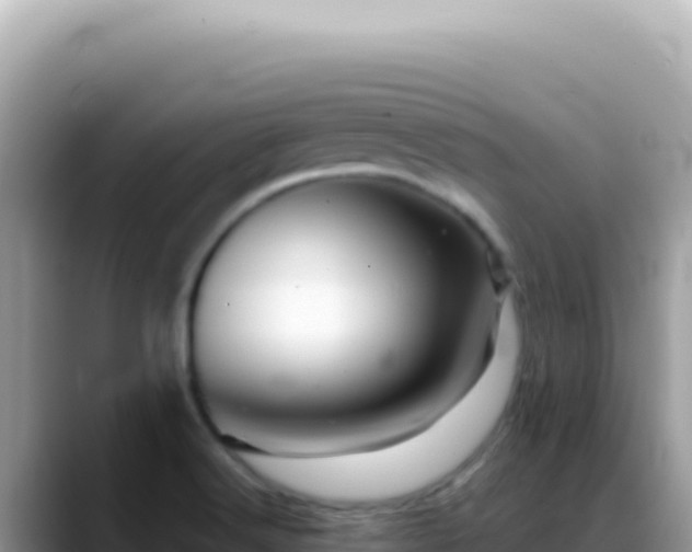 X0000088741516200706071649