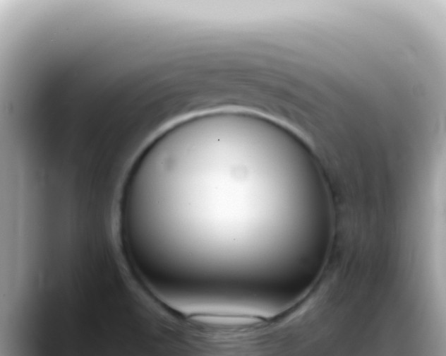 X0000088741518200706071649