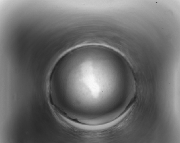 X0000088741519200706071649