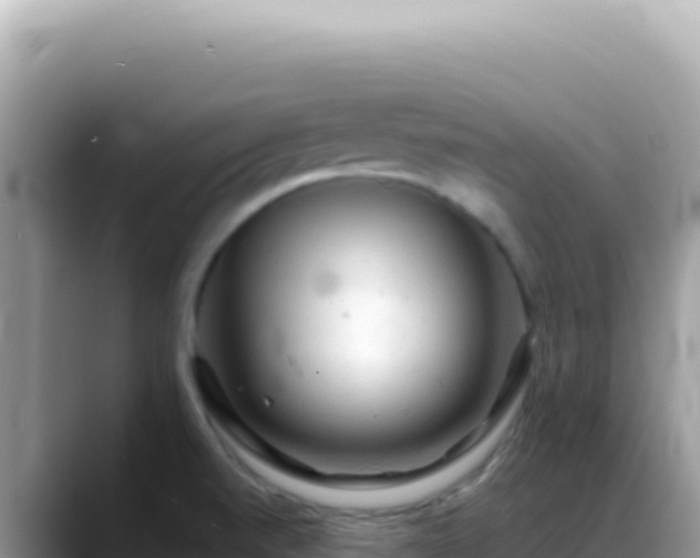 X0000088741520200706071649