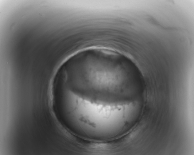 X0000088741522200706071649