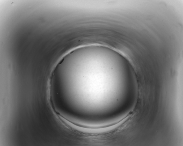X0000088741524200706071649