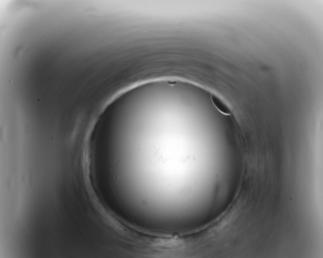 X0000088741526200706071650