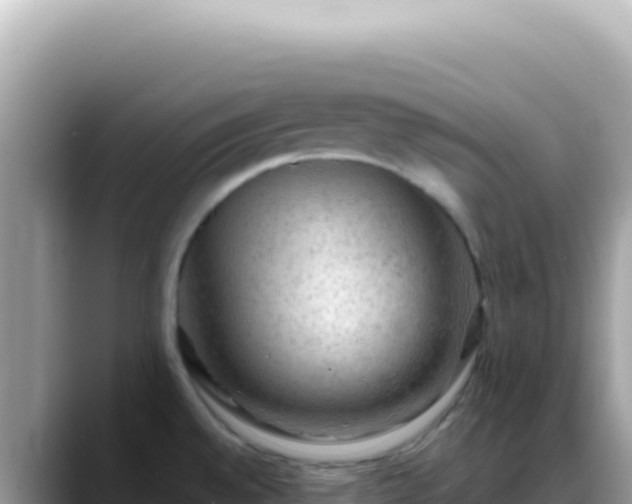 X0000088741528200706071650