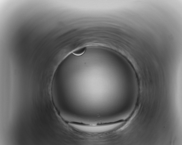 X0000088741529200706071650