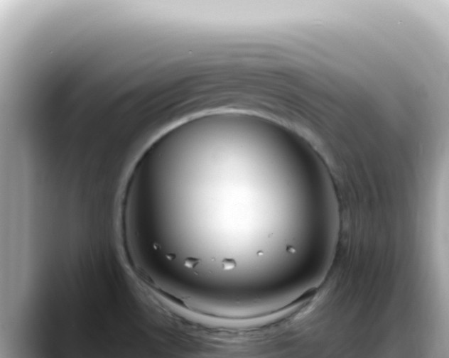 X0000088741530200706071650
