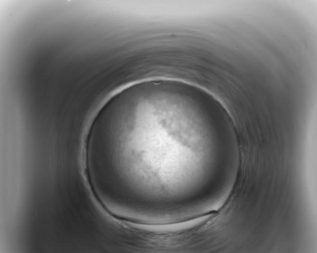 X0000088741531200706071650