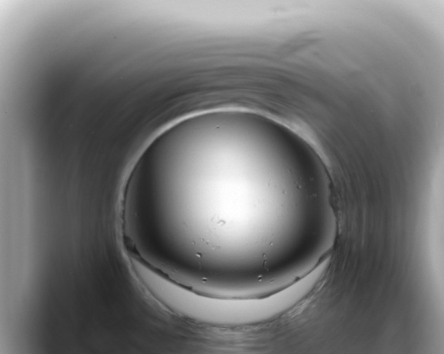 X0000088741532200706071650